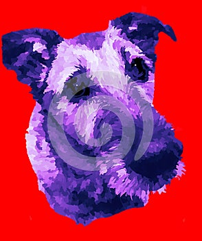 Dog paint Ã¢â¬â¹Ã¢â¬â¹sitting isolated red backgrond photo